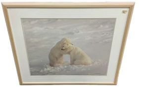 Thomas Mangelsen Limited Edition Photograph Bear Hug