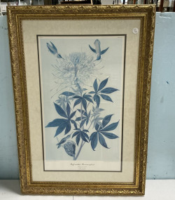 Ruff Necked Hummingbird Framed Print 37"h., 24"w