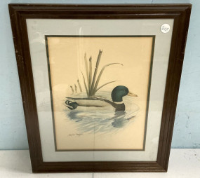 Signed Stephen Grayford Duck Artwork 22"h., 18'w