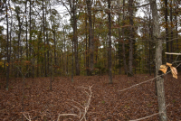 Sale Image for Wilkin Estate Personal Prop. -Absentee Bidding