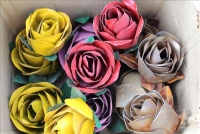 Sale Image for Spectacular Large Public Auction