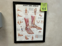 Sale Image for The Bunion Specialist