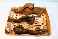 Sale Image for August Online Only Auction