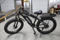 Sale Image for Large Indoor Public Auction