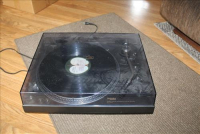 Sale Image for Absolute Real Estate & Contents