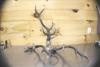 Sale Image for Large Public Auction