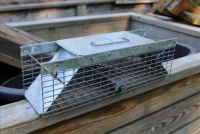 Sale Image for Moving Auction