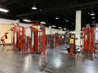 Sale Image for State-of-the-art Health And Fitness Club Equipment