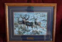 Sale Image for Moving Auction