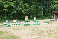 Sale Image for Real Estate And Contents