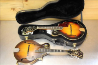 Sale Image for Large Public Auction