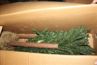 Sale Image for Real Estate &amp; Contents