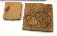 Sale Image for Annual January New Year Antique Auction