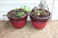 Sale Image for MovingAuction