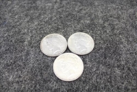 Sale Image for Large Public Auction