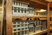 Sale Image for Jameson's Candy Store Liquidation Auction