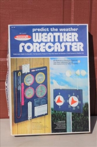 Sale Image for Large Public Auction