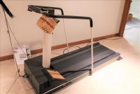 Sale Image for Moving Auction