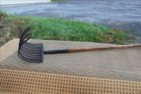 Sale Image for Large Public Auction