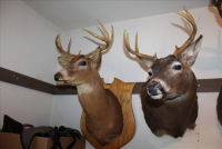 Sale Image for Estate Auction