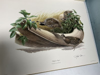 Sale Image for February Online Auction 2026