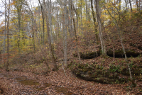 Sale Image for Wilkin Estate Personal Prop. -Absentee Bidding