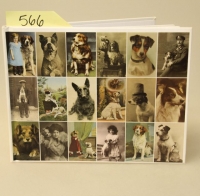 Sale Image for 1st Edition And Signed Book Auction