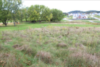 Sale Image for Real Estate Auction