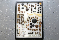 Sale Image for Large Public Auction