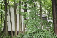 Sale Image for Real Estate Auctions