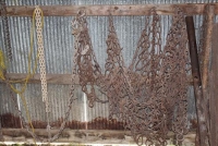 Sale Image for Real Estate & Contents Auction - Buckley Estate