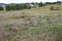 Sale Image for Real Estate Auction