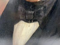 Sale Image for New Year Part 2 Auction 2026