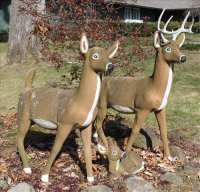 Sale Image for Real Estate And Contents