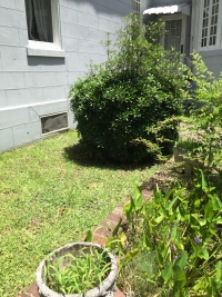 Sale Image for Auction Of The Estate Of Russell V. Puckett