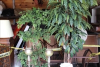 Sale Image for Spectacular Large Public Auction