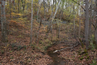 Sale Image for Wilkin Estate Personal Prop. -Absentee Bidding