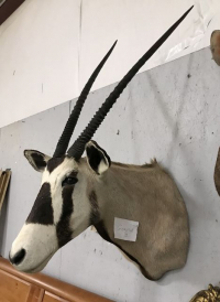 Sale Image for August Online Auction 2020