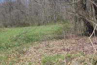 Sale Image for Real Estate & Contents