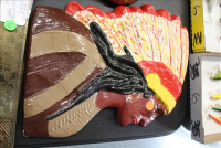 Sale Image for Large Public Auction