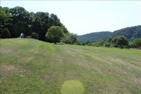 Sale Image for Real Estate & Contents