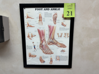 Sale Image for The Bunion Specialist