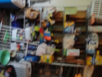 Sale Image for Large Estate Sale