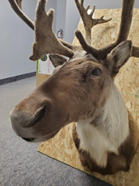 Sale Image for COEX Coffee International, Inc.