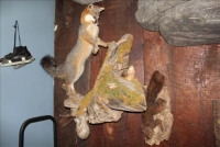 Sale Image for Large Public Auction