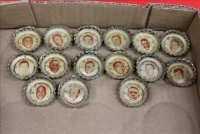 Sale Image for Large Public Auction