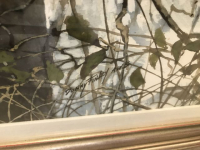 Sale Image for Fine Art, Furniture, Collectibles Online Auction 2020