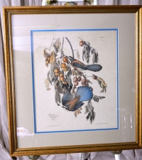 Sale Image for New Year's Multi-Estate Live & Internet Auction