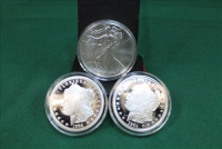 Sale Image for Large Public Auction