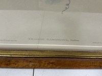 Sale Image for New Year Part 2 Auction 2026